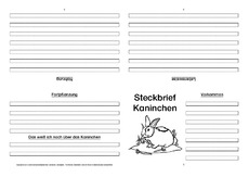 Kaninchen-Faltbuch-vierseitig-1.pdf